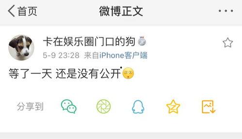 爆料吃瓜每日精品福利,爆料吃瓜，每日精品福利大放送！